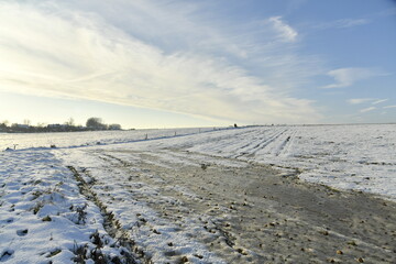 Eaux de fonte congelées dans les champs sous la neige à Écaussinnes-d'Enghien 