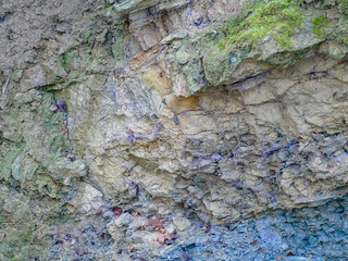 Gesteinsschichten im Muschelkalk