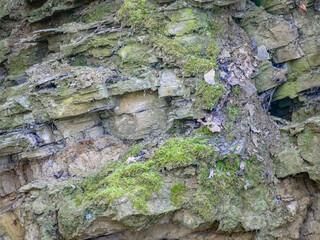 Obraz premium Gesteinsschichten im Muschelkalk