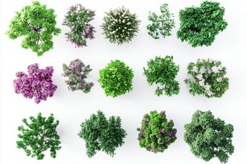 Overhead view of various trees, shrubs, and flowers, isolated on white background.  Design element for landscaping