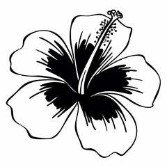 black and white flower