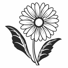 black and white flower