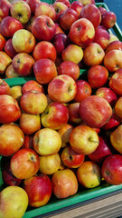 Apples for sale in a supermarket. Ripe juicy apples close-up with selective focus. Fruits. A pile of apples for sale in a store. A variety of fresh apples on a supermarket counter