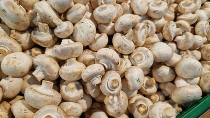 Sale of champignons in a supermarket. Champignons in plastic boxes, close-up. Mushrooms in a store. A pile of champignons for sale at the market with selective focus