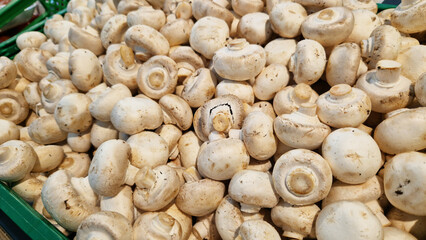 Sale of champignons in a supermarket. Champignons in plastic boxes, close-up. Mushrooms in a store. A pile of champignons for sale at the market with selective focus