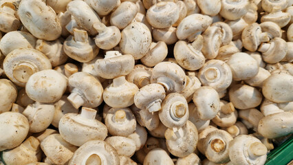 Sale of champignons in a supermarket. Champignons in plastic boxes, close-up. Mushrooms in a store. A pile of champignons for sale at the market with selective focus