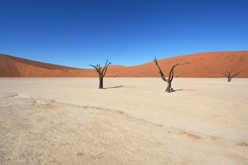 Landschaft beim Dead Vlei im Namib-Naukluft Nationalpark