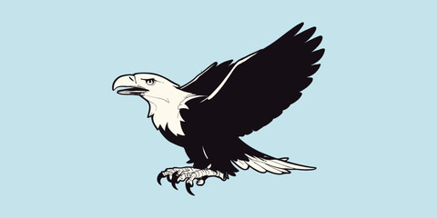 eagle in the sky