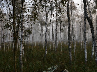 las ksylitolowy © Monika