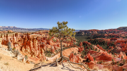 Experience the Stunning Landscape of Bryce Canyons Unique and Mesmerizing Rock Formations, Bryce...