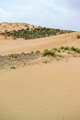 Sand dunes in Is Arenas, Torre dei Corsari. Costa Verde Oristano, Sardinia. Iralia