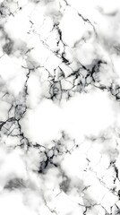 Obraz premium White Marble Texture: A pristine white marble surface with intricate gray veins, capturing the natural beauty and elegance of this luxurious material. 