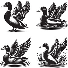 vintage mallard and pond scene illustration great for nature-inspired branding and marketing