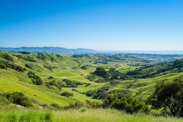 Obraz premium Araffe woman with her eyes closed blowing smoke in the air