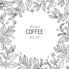 Botanical coffee plant frame with leaves, berries, flowers, and coffee beans in line art style. Black and white decorative border with text. Template for branding, packaging, label design.
