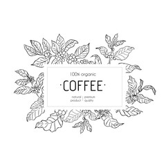 Coffee plant frame with leaves and berries in line art style. Rectangular label with text in the center. Black and white botanical illustration. Template for branding, packaging, and label design.