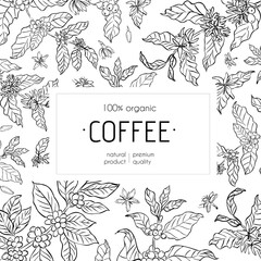 A black and white coffee packaging design featuring hand-drawn coffee plant branches, beans, and flowers with an elegant organic theme.