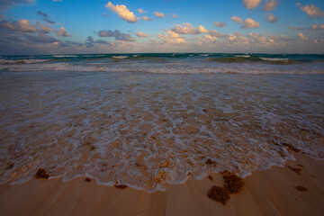 Beautiful Carmen beach during t sunset   in Tulum, Yucatan, Mexico