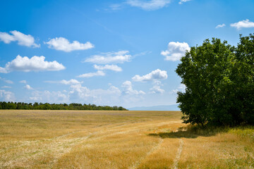 Crop fields near Povazsky Inovec mountains