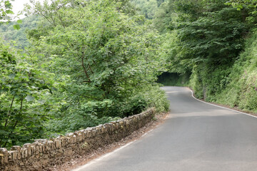 Lynmouth, Devon, England. Forest, Exmoor National Park