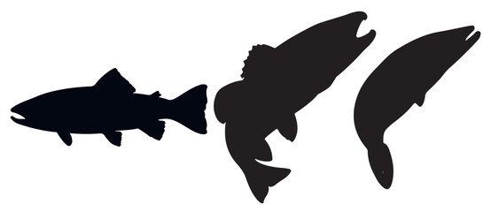 Black silhouette Brook Trout of fish, Animal Icons, Fish Bundle, Sea life, Under the Ocean