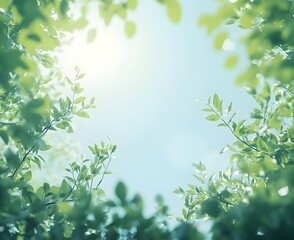 A tranquil summer background with soft green foliage and bright sky softly illuminated by natural light.