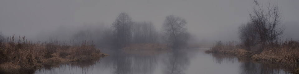 serene misty natural landscape. river banks with dry reeds and bare trees. calm water with reflection and fog in the evening in damp weather. beautiful panoramic view in 20x5 format
