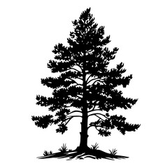 black and white pine tree silhouette vector with detailed branches and forest floor