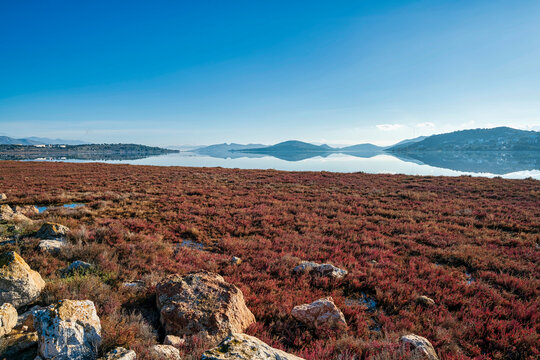 Vourkari Wetland with still water reflections, Greece