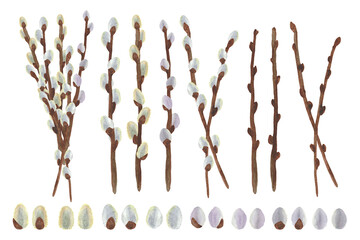 Set of watercolor willow branches isolated on a white background. Spring design elements. © hollia