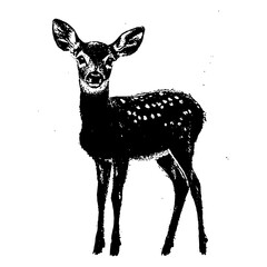 Young deer in vintage sketch style illustration
