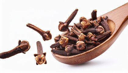 falling dry cloves isolated on white background