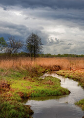 River runs through a field of tall grass
