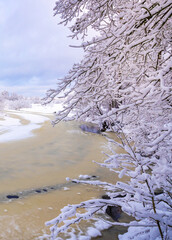 Snowy landscape with a river and trees