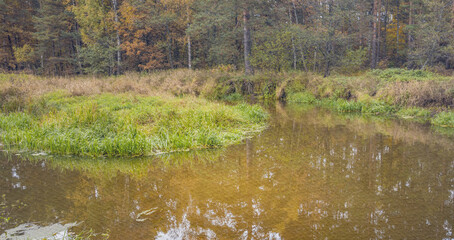 Pond with a lot of trees and grass around it