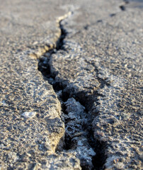 Crack in the pavement with a few pieces of debris in it