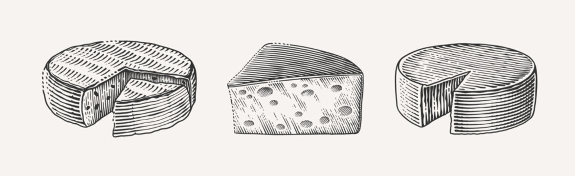 Hand-drawn, engraving-style illustration of three different cheese wheels, including whole and sliced pieces.