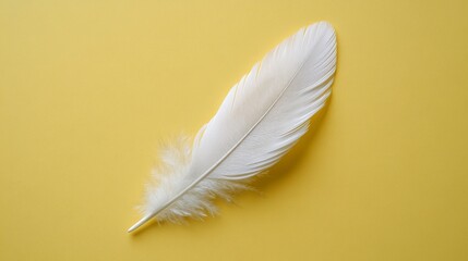Obraz premium Single white feather lying on a simple yellow background