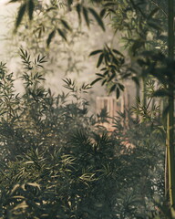 Obraz premium A small wooden hut stands among bamboo thickets it_023
