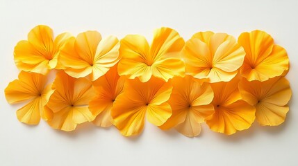 Obraz premium Group of elegant golden yellow flowers arranged in a row