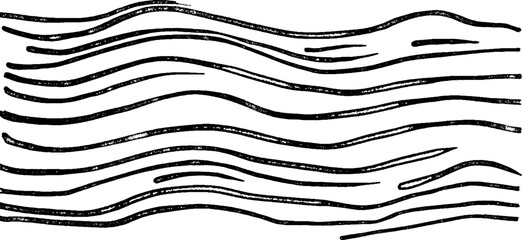 A series of wavy black lines resembling water or waves, set against a white background. The lines vary in thickness and spacing, creating a dynamic, flowing appearance.