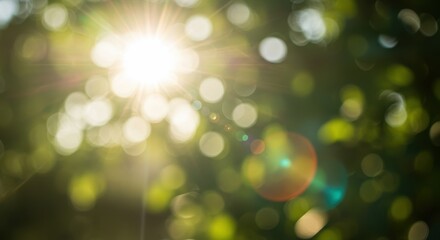 A blurred image of bright sunlight filtering through green foliage and lens flare and soft bokeh create a dreamy and serene outdoor atmosphere