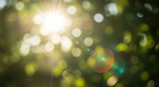 A blurred image of bright sunlight filtering through green foliage and lens flare and soft bokeh create a dreamy and serene outdoor atmosphere