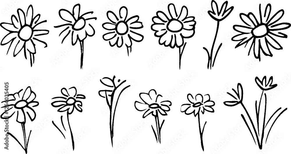 Poster a collection of hand-drawn flowers in various styles and sizes, showcasing different shapes and arra