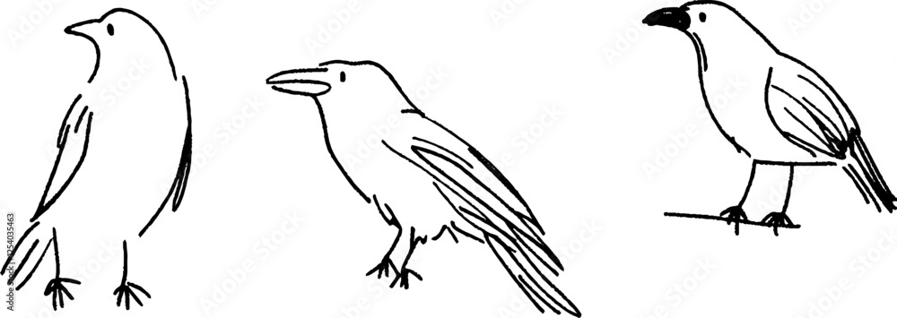 Poster three simple line drawings of birds in different poses. the first bird is standing upright, the seco
