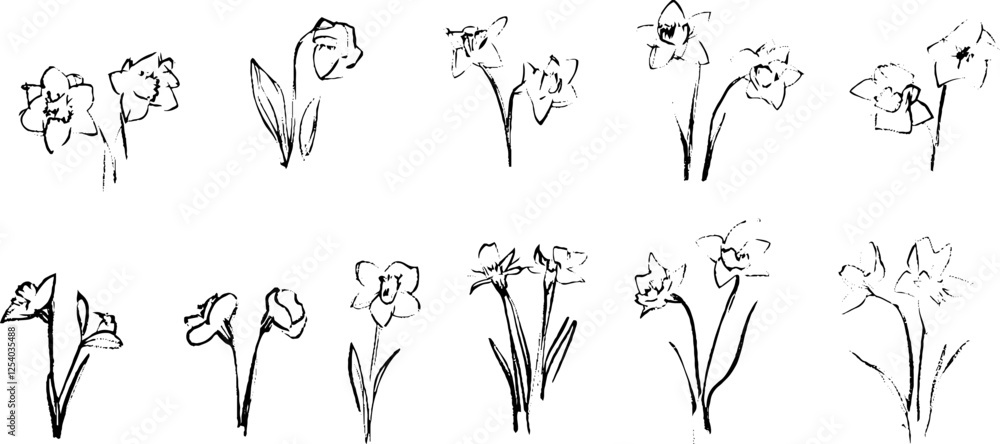 Poster a collection of hand-drawn sketches of various flowers, showcasing different styles and perspectives