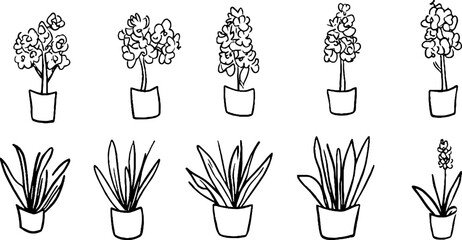 A collection of hand-drawn flower illustrations in pots, featuring various types of flowers and plants. The designs are simple and artistic, showcasing different shapes and sizes of blooms and leaves.