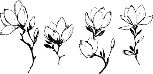 A collection of hand-drawn magnolia flowers and branches, showcasing various stages of bloom. The illustrations feature delicate petals and leaves, emphasizing natural beauty.