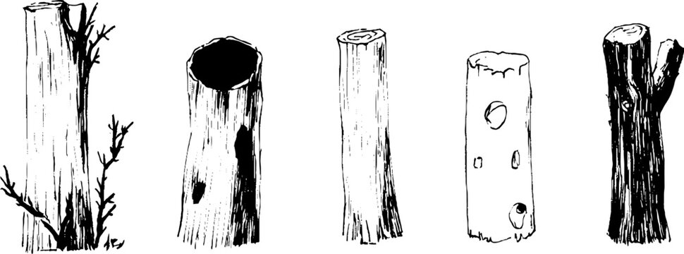 A collection of five different types of tree stumps and logs, showcasing various textures and shapes. Some have branches, while others are hollow or have distinctive markings.