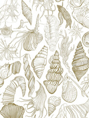Seashells sea life pattern, monochrome simple line seamless drawing, white background 